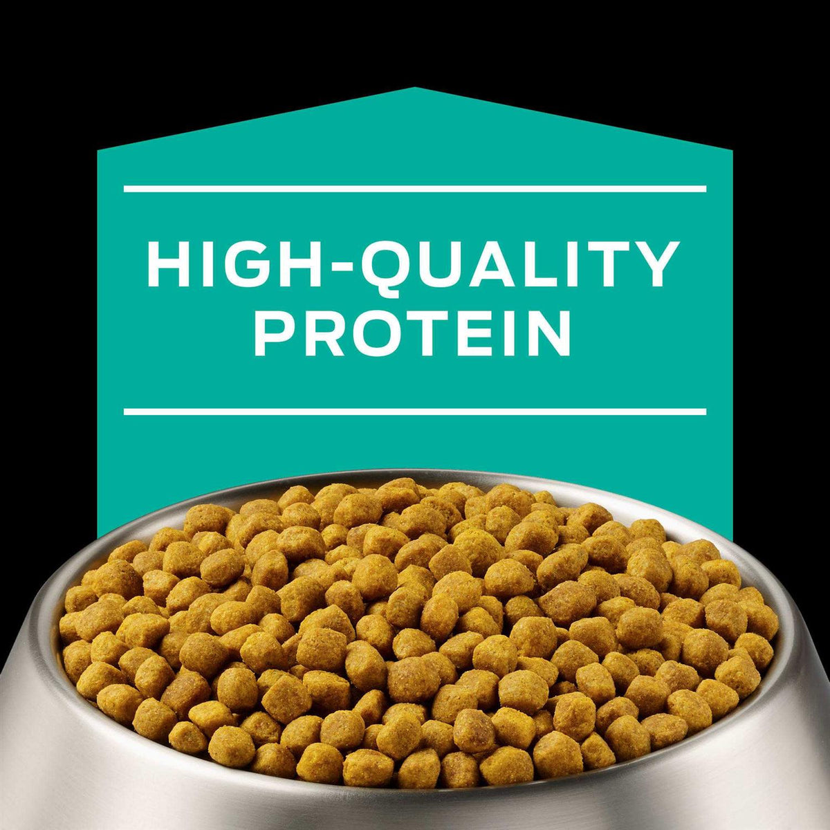 Gastroenteric Formula Dry Dog Food R64992