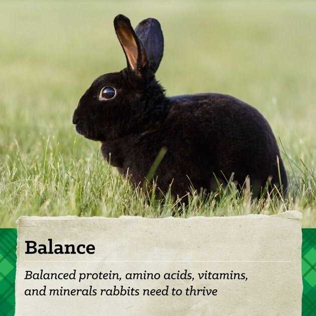 15% Rabbit Feed Q475248