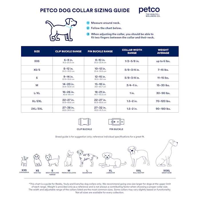 Classic Training Dog Collar V3074