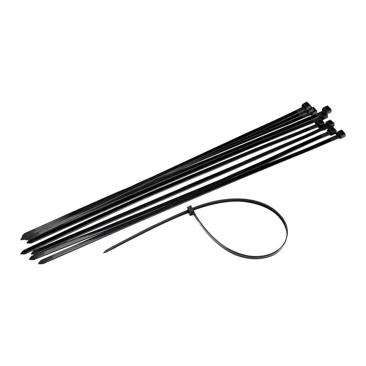 Black Cable Ties 10-Pack R900608