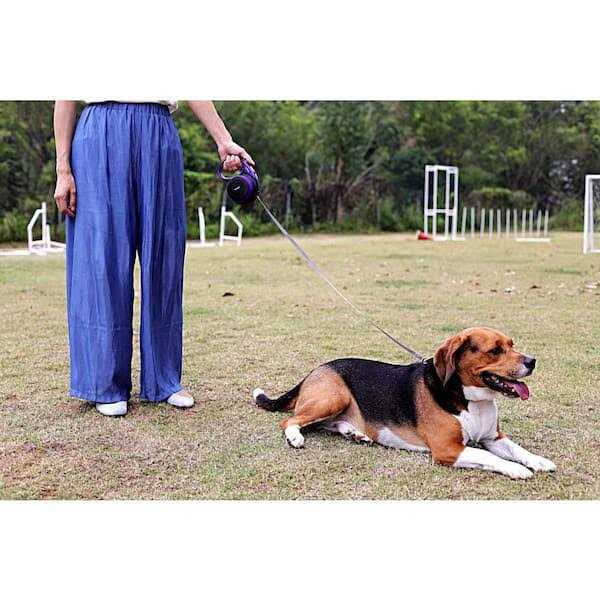 Retractable Leash Y730121
