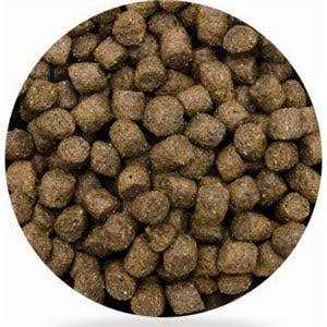 Dog Food J5529