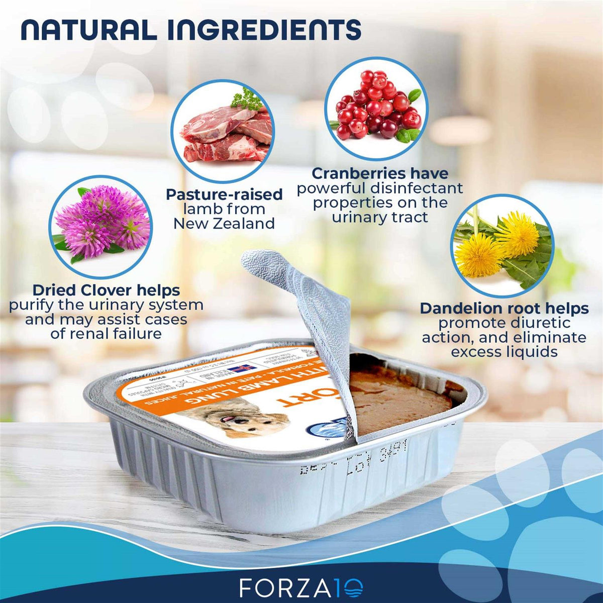 Wet Dog Food G127017
