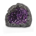Purple Aquarium Decor I59400