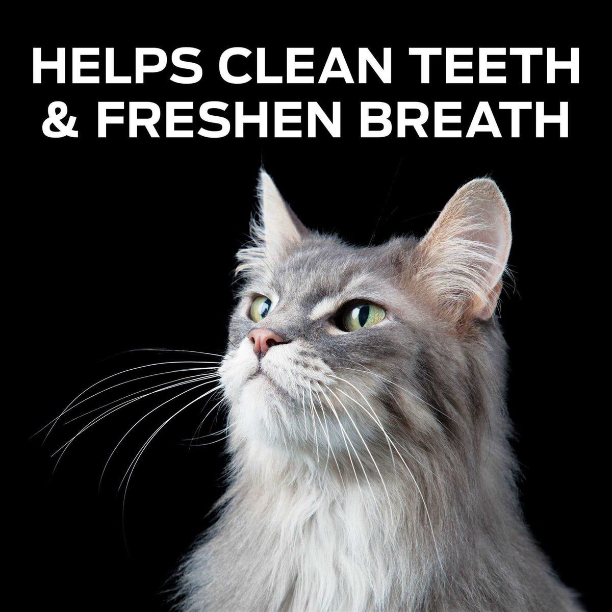 Crunchy Bites Cat Treats K111
