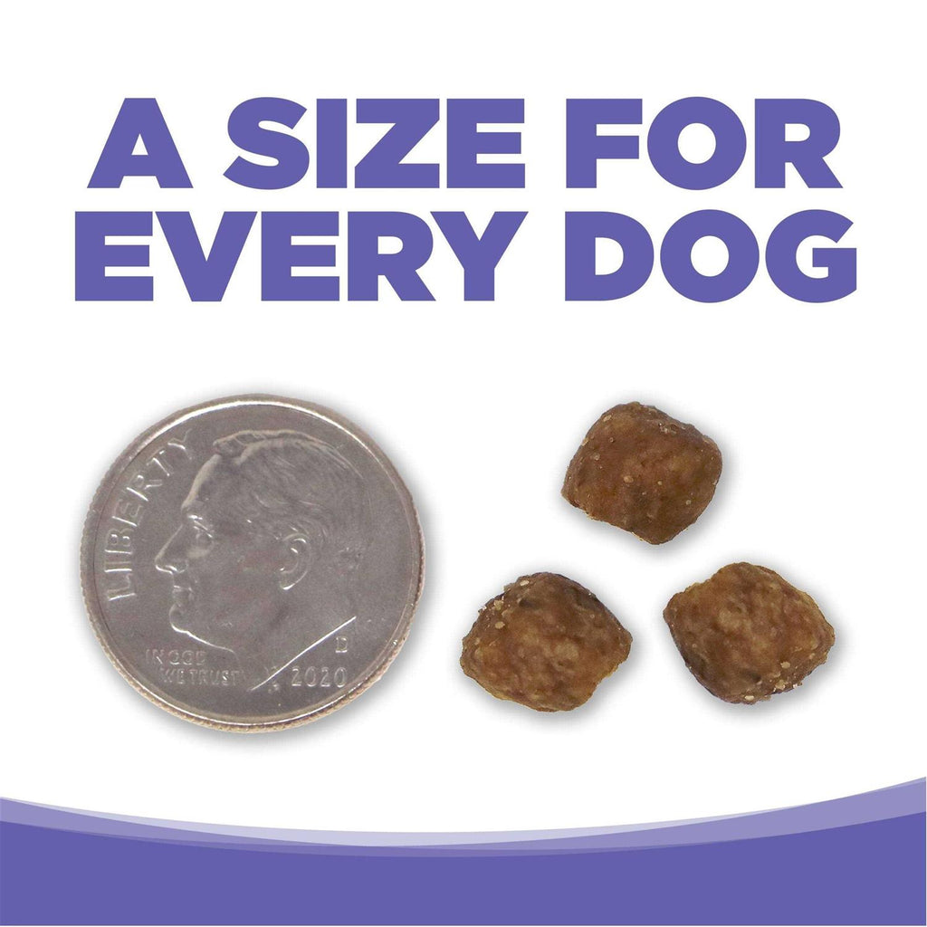 Chicken Rice Small Medium-Breed Puppy Dry Dog Food P61585