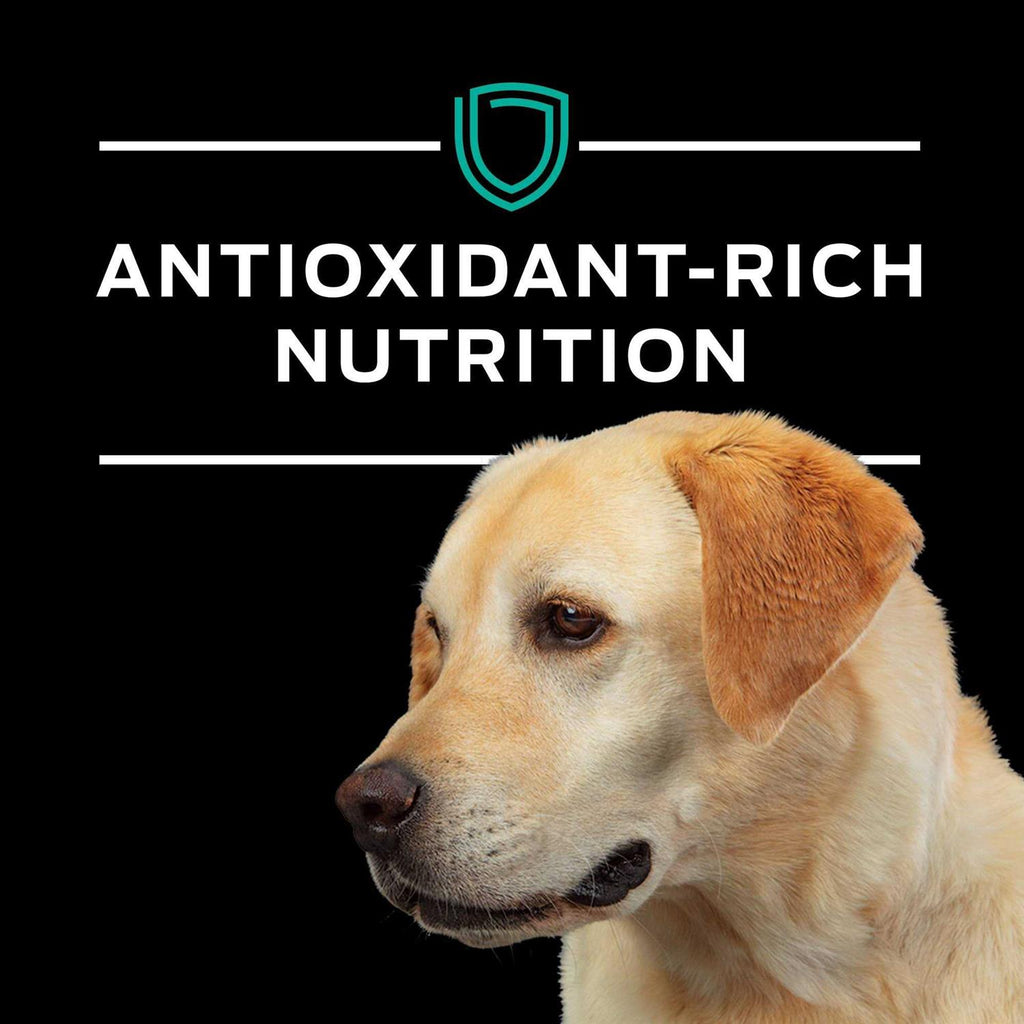 Gastroenteric Formula Dry Dog Food R64992