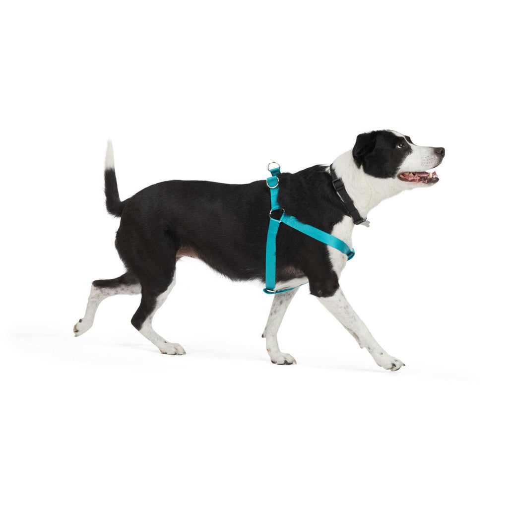 Dog Harness W3486
