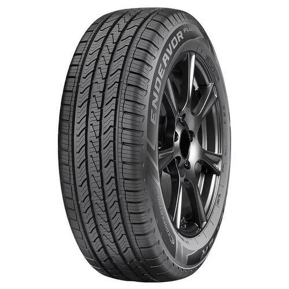 All-Season 255/65R18 111H Tire P704575