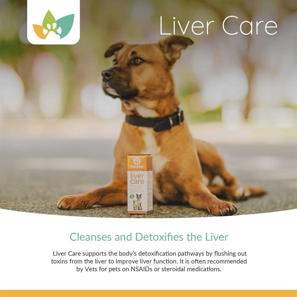 Liver Care 100ml W1148