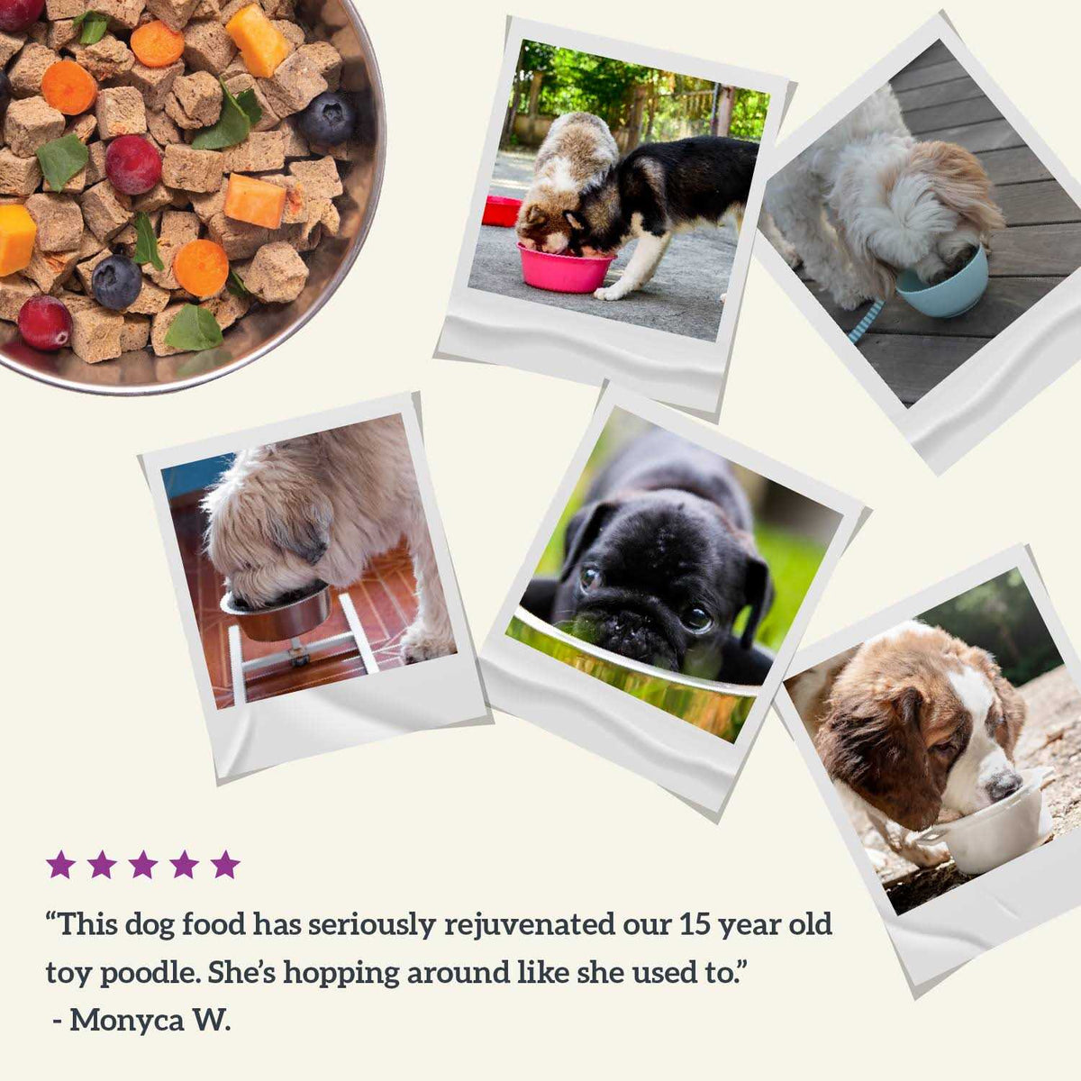Air Dried Beef Recipe Dog Food E95214