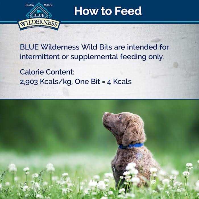 Dog Treats C441062
