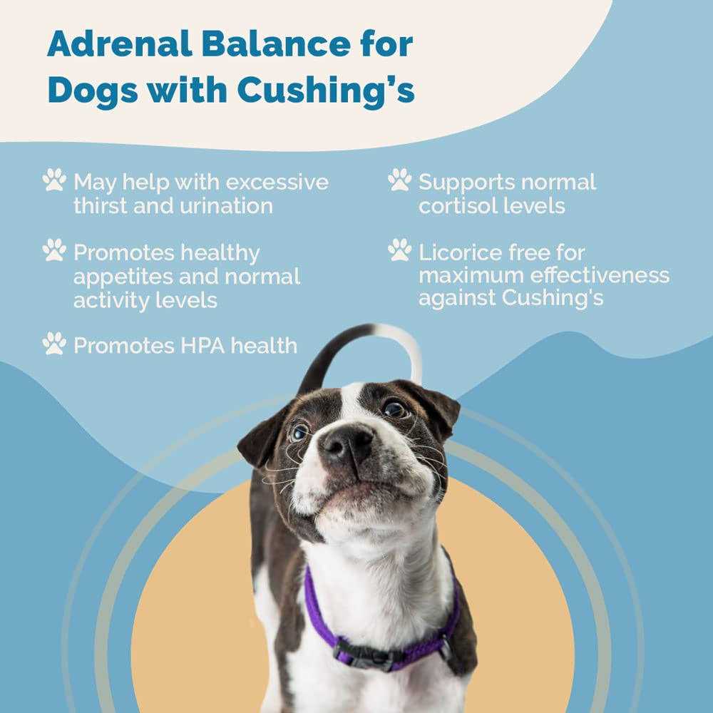 Adrenal Balance for Dogs E909226