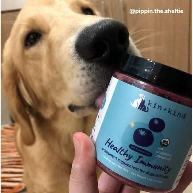 Healthy Immunity for Dogs and Cats S40822