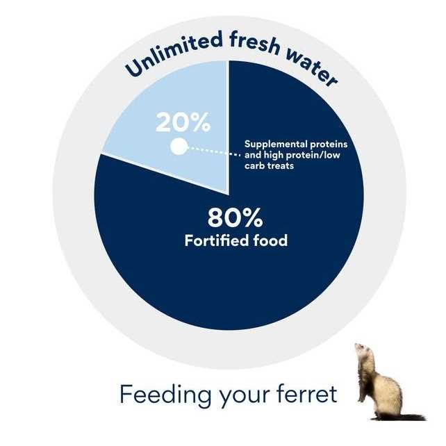 Ferret Food R145124