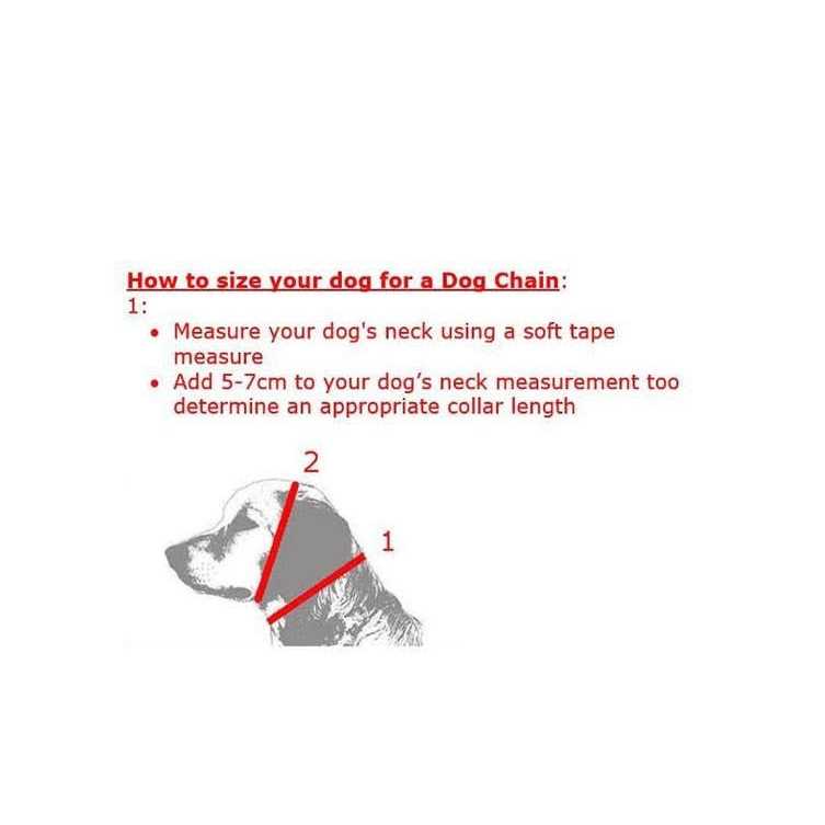 Slide Chain Collar W53808