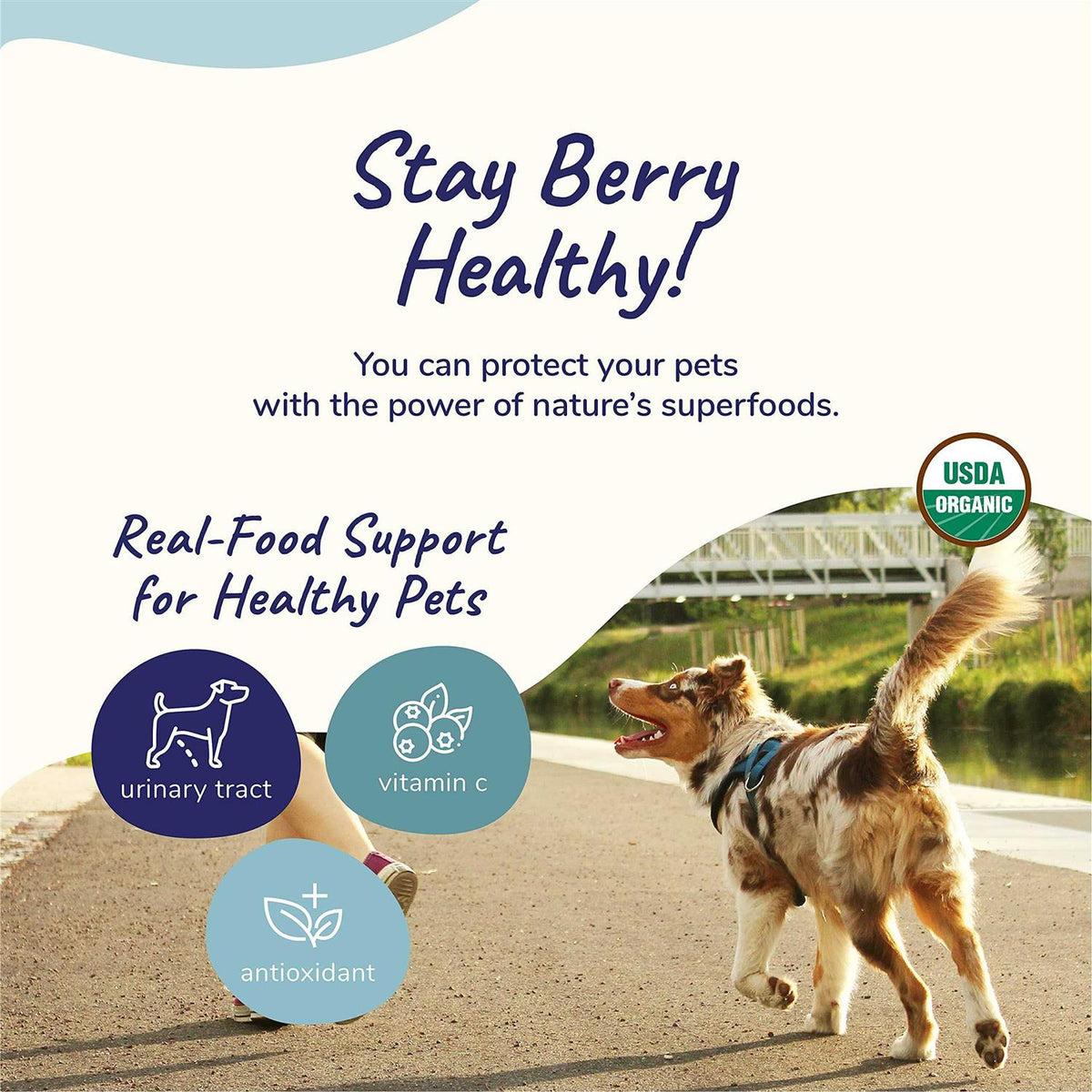 Healthy Immunity for Dogs and Cats S40822