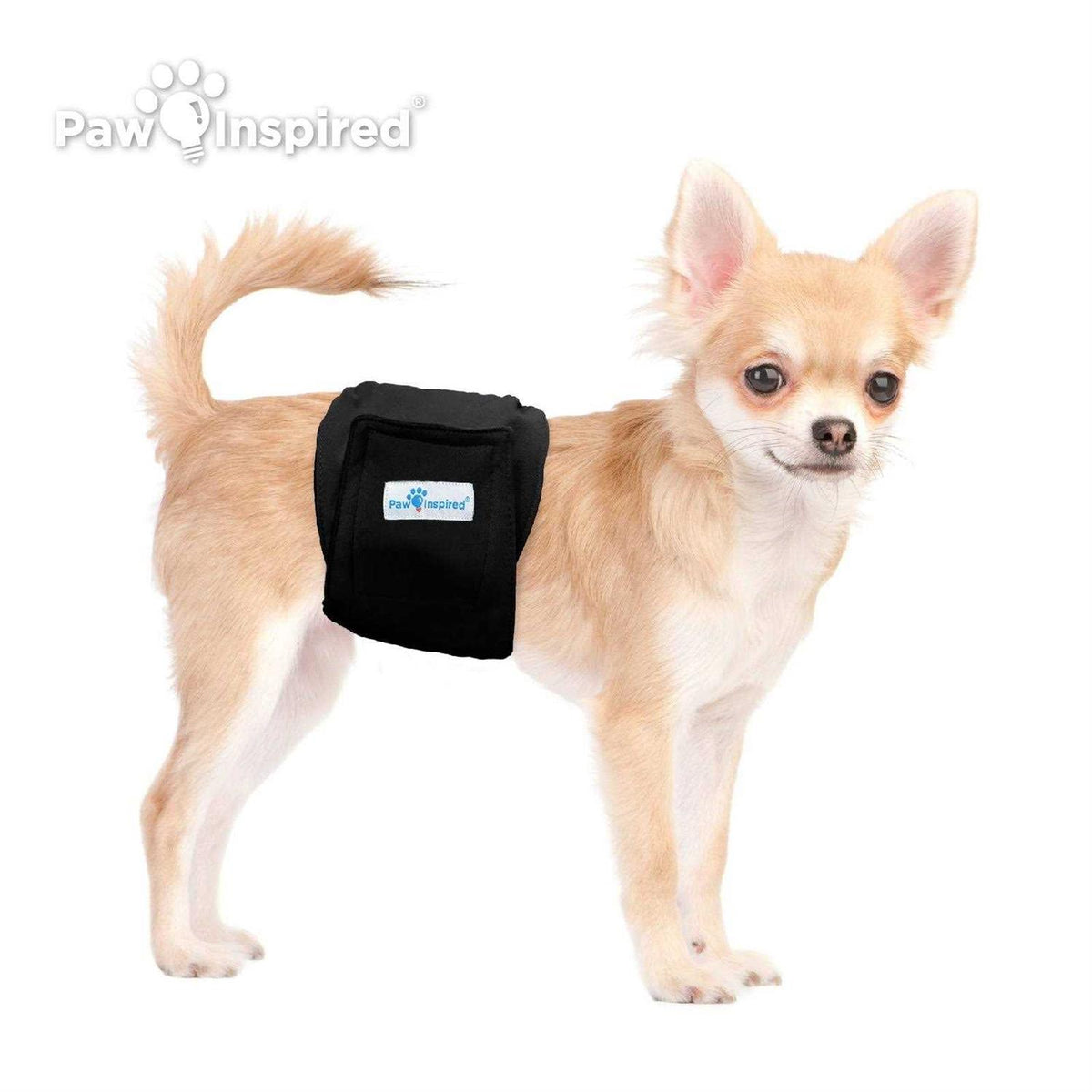 Washable Dog Belly Band Y351394