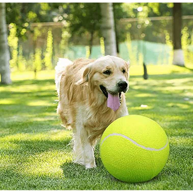 Dog Tennis Ball Large Pet Toy with Inflating Needles W7668