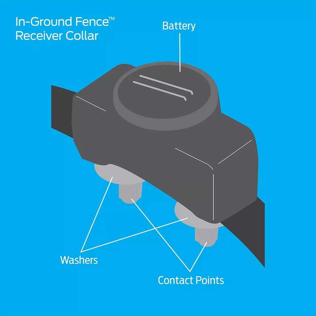 In-Ground Fence Add-A-Dog Collar O8220