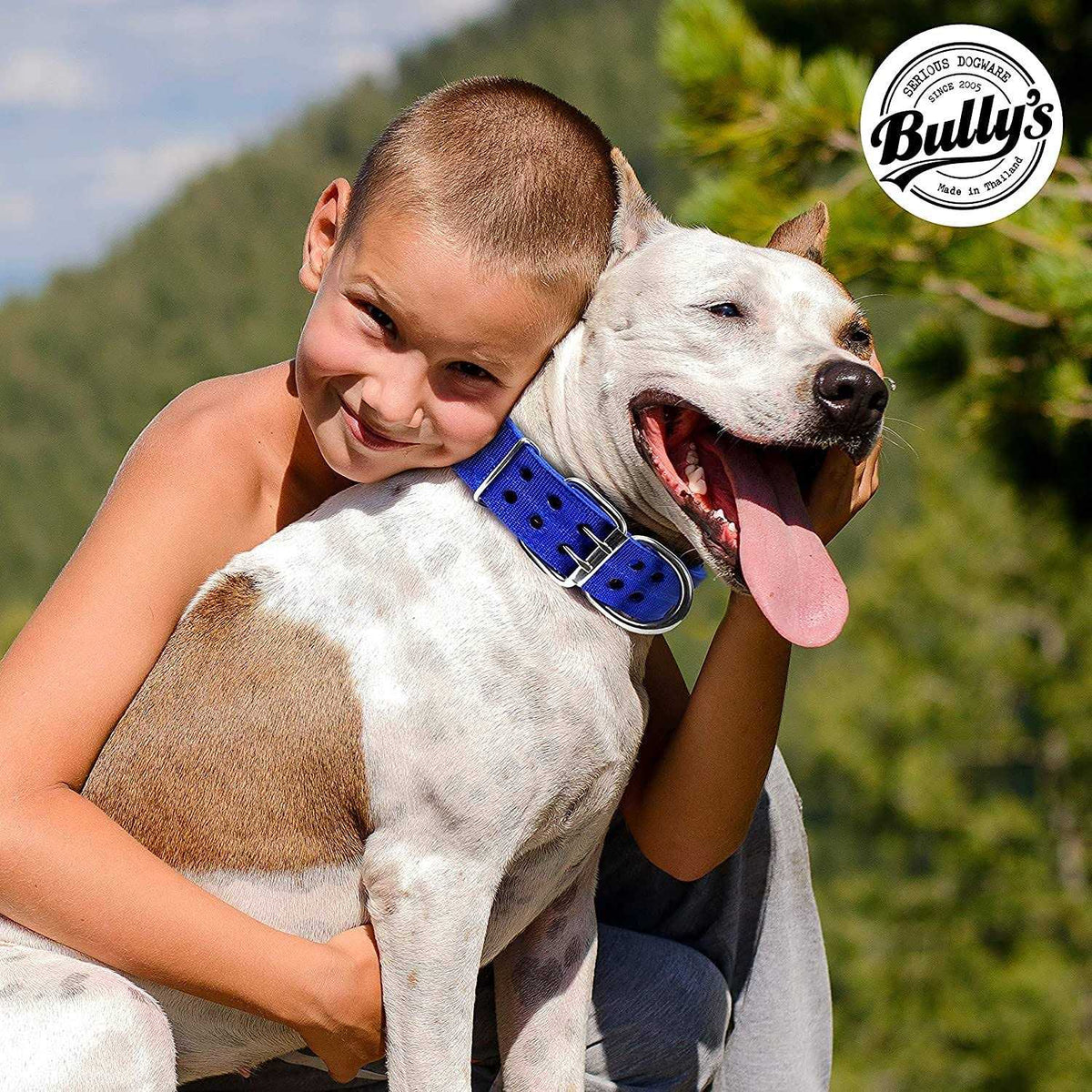 Dog Collar A53929