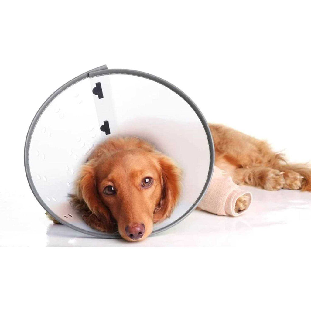 E-Collar XL Z112183