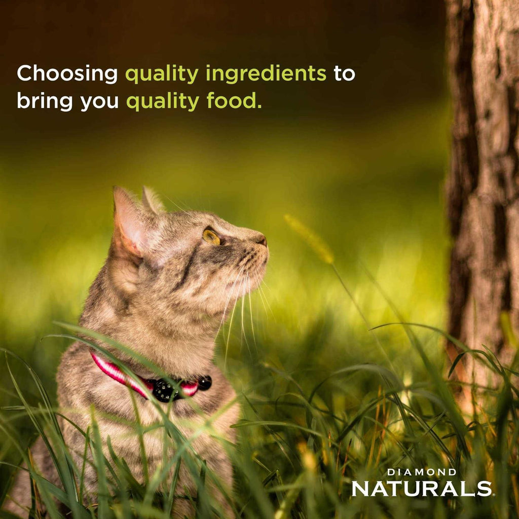 Indoor Dry Cat Food G985990