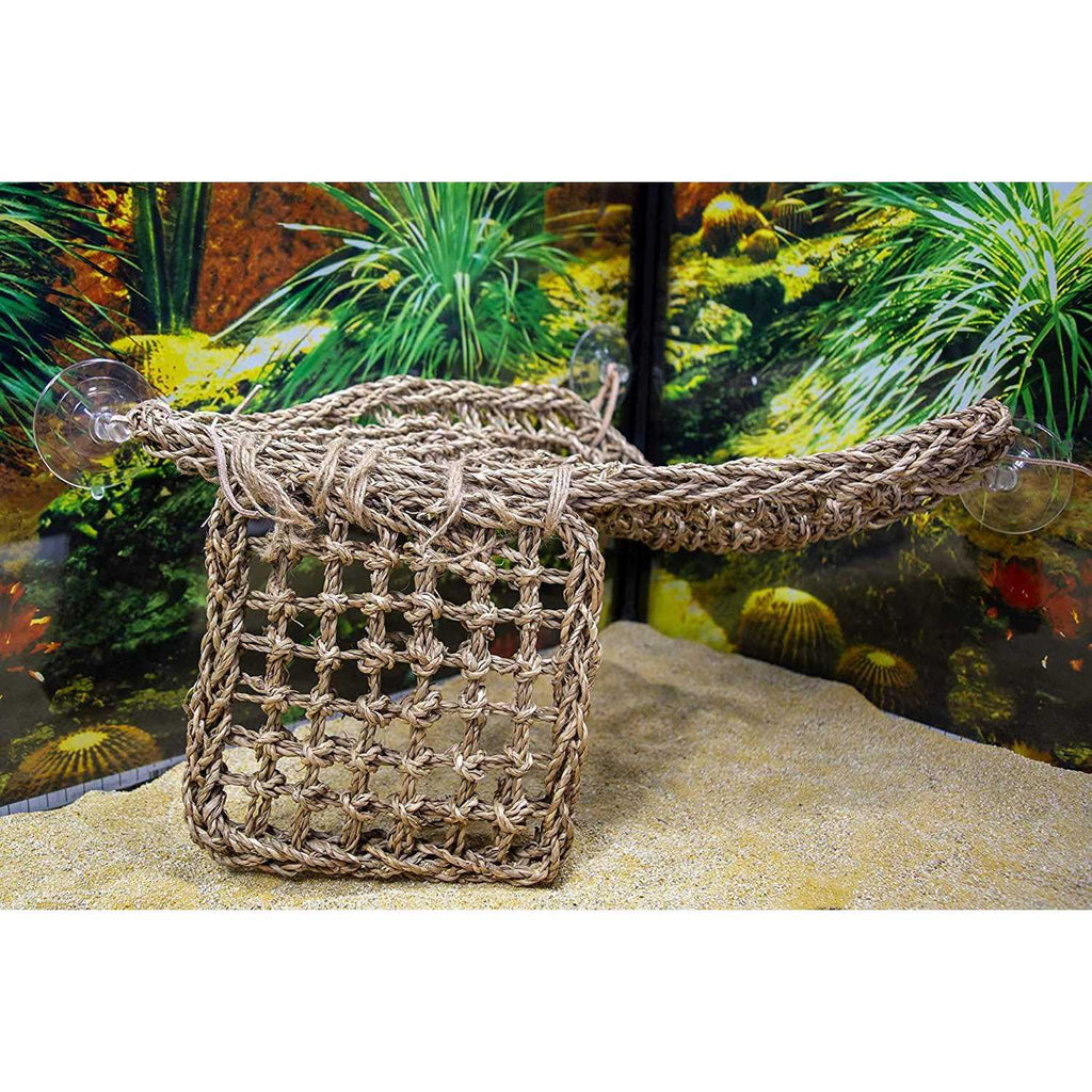 Lizard Lounger Y873300