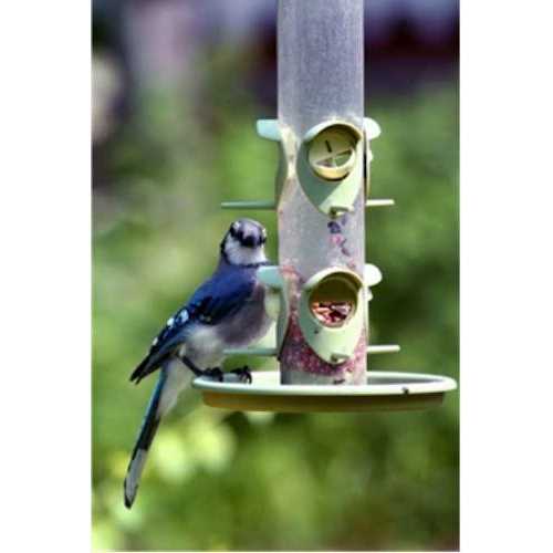 Wild Bird Food M1491