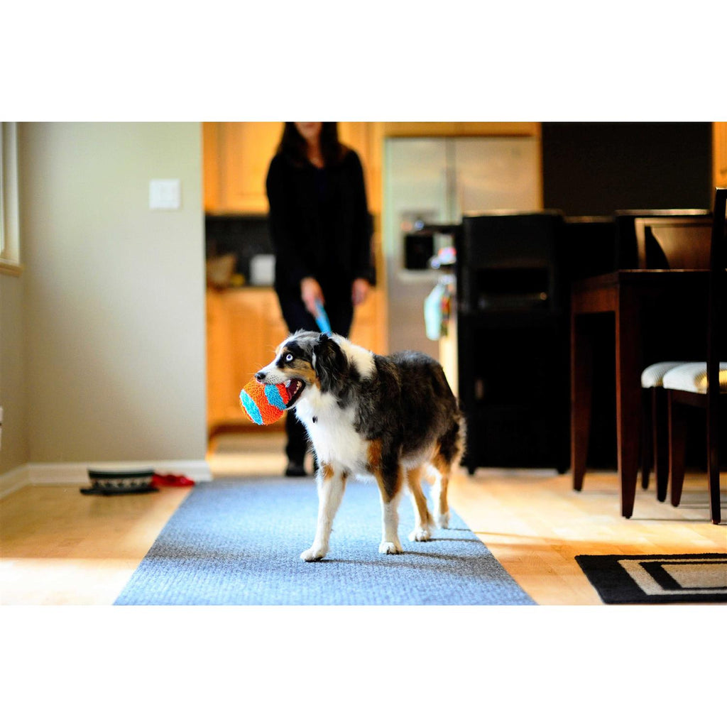 Indoor Ball Dog Toy G269