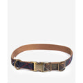 Tartan Webbing Collar N3995