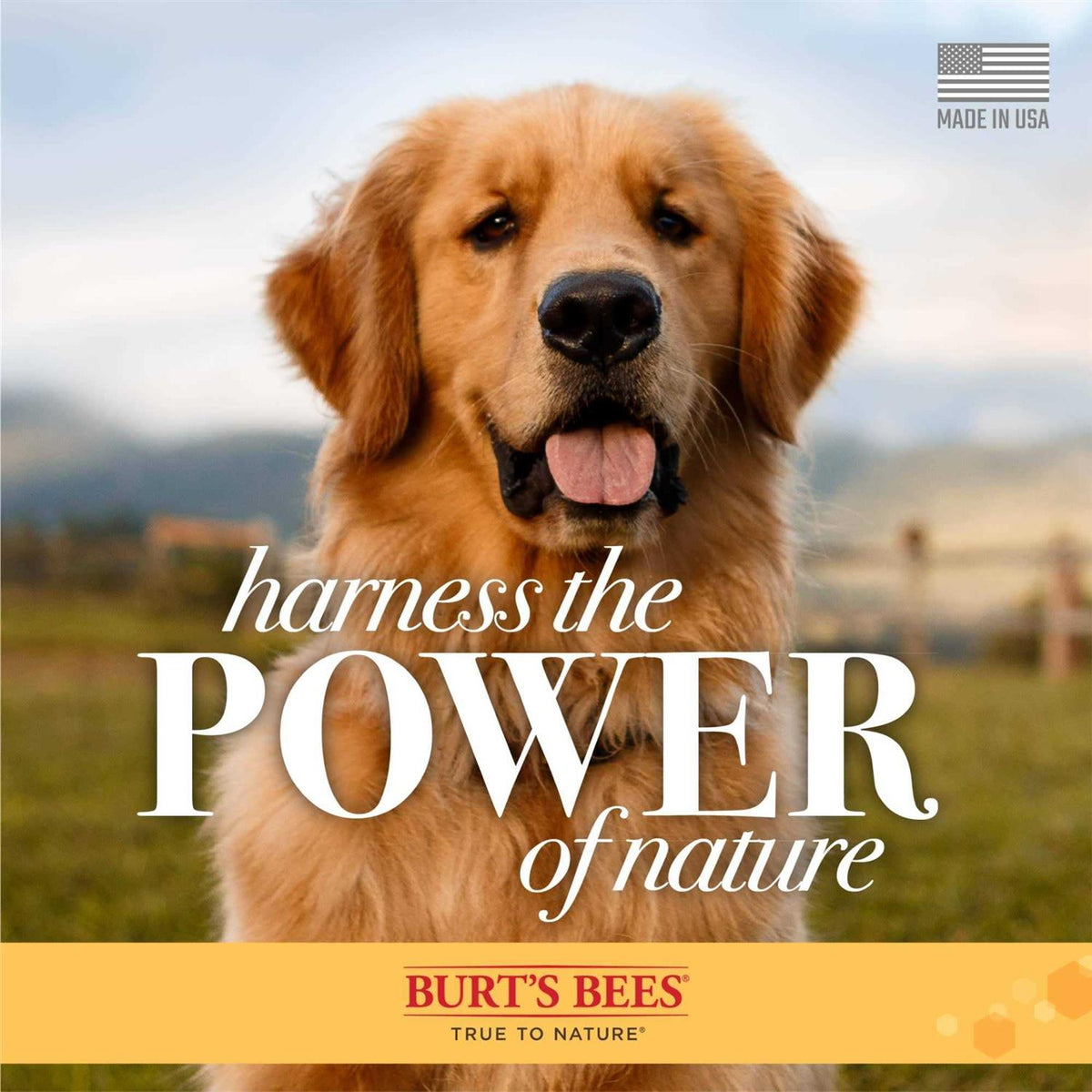 Multipurpose Wipes for Dogs J2766
