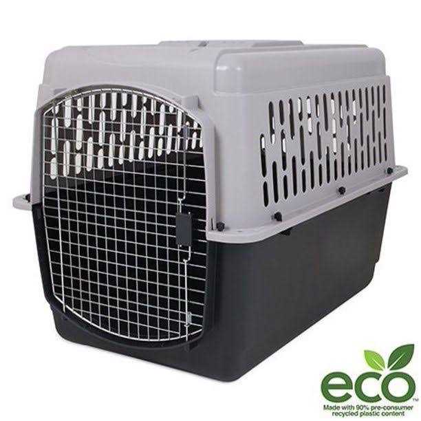 Hard-Sided Pet Kennel Y6853