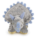 Dog Toy B463290