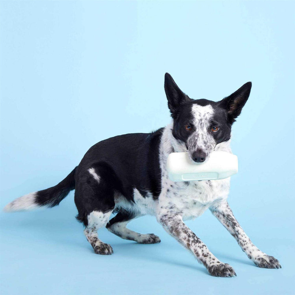 Cow Dog Toy A748067