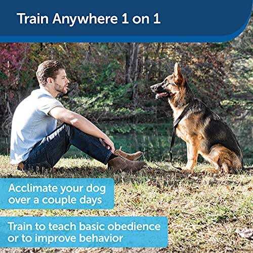 Ultrasonic Remote Dog Trainer V809
