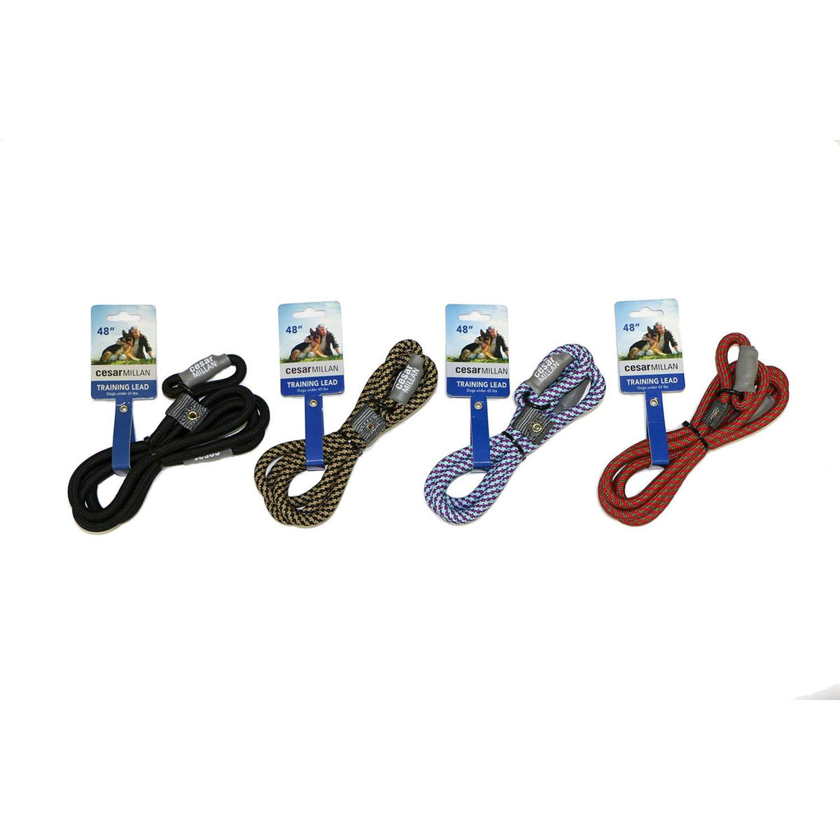2-in-1 Slip Collar Dog Training Lead & Collar J7477