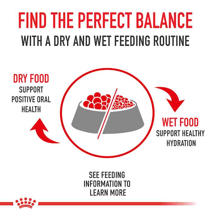 Wet Dog Food W291708