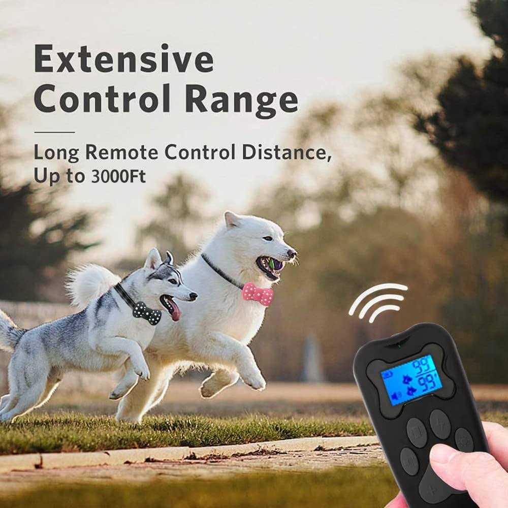 Rechargeable Electric Dog Training Collar for 2 Dogs C663
