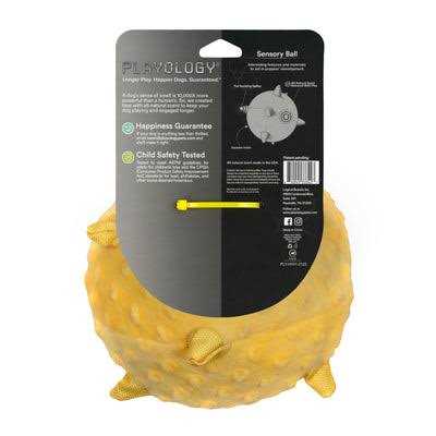Sensory Ball Dog Toy W840845