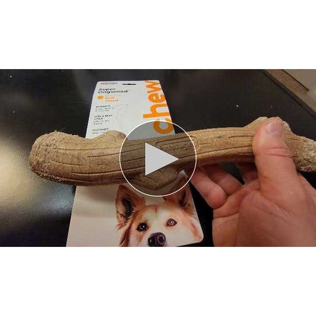 Dogwood Stick Dog Chew Toy V728
