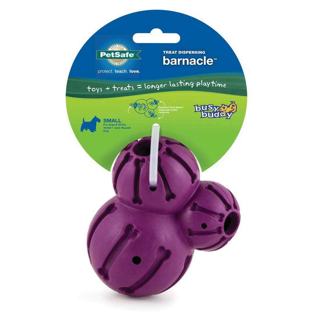 Barnacle V45336