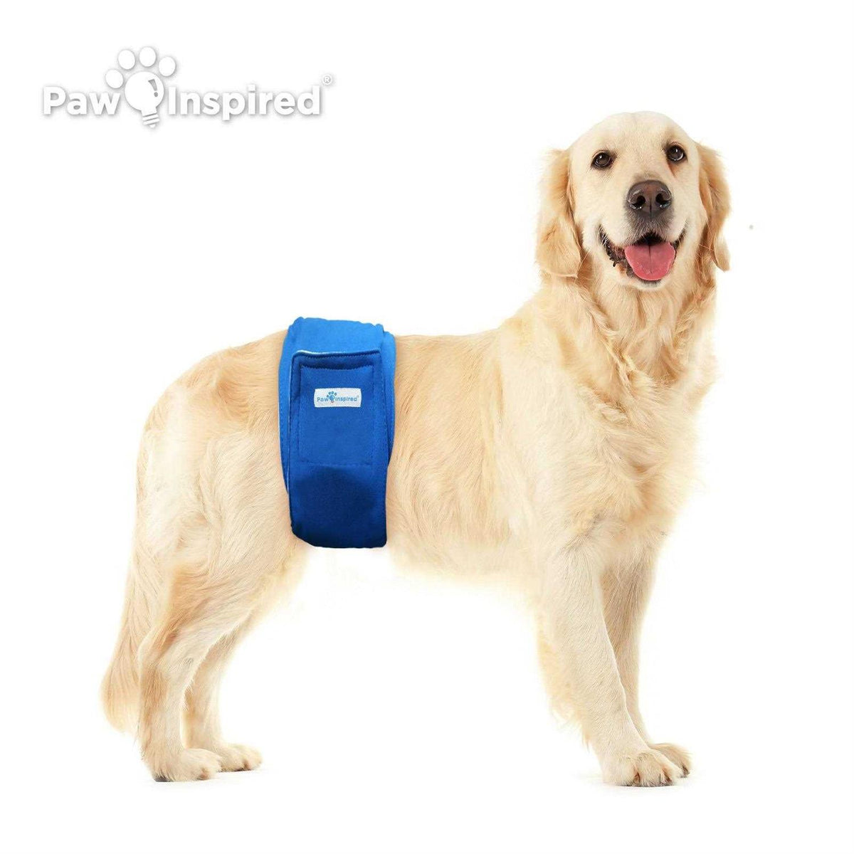 Washable Dog Belly Band Y351394