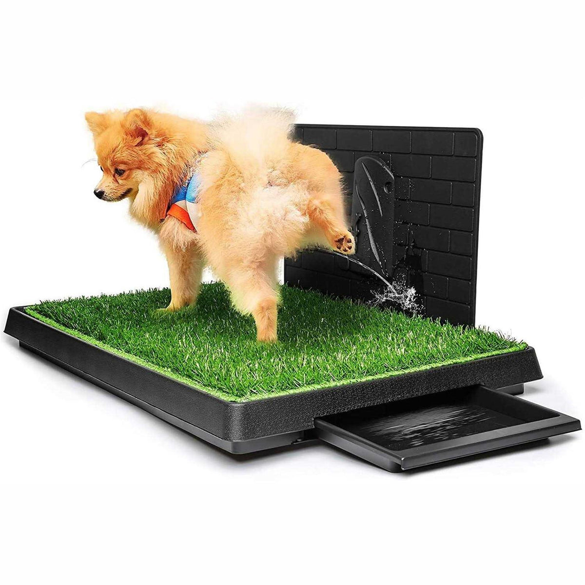 Large Dog Potty with Tray Q925267