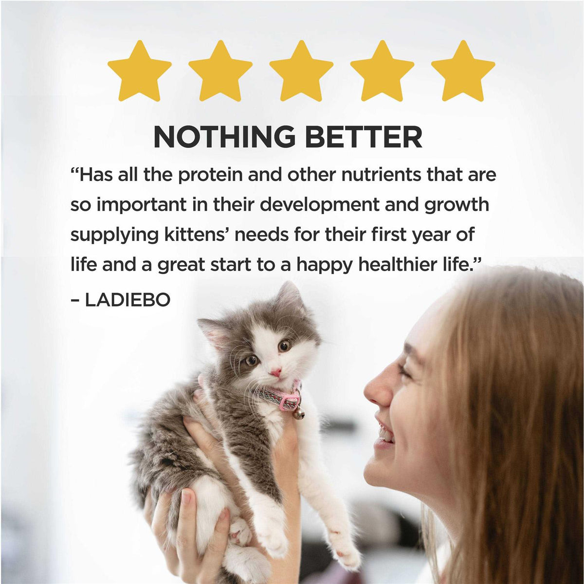 Dry Cat Food T298421