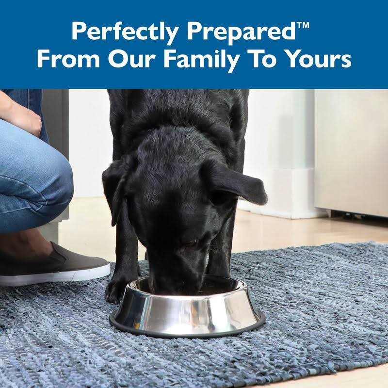Dog Food Z204208