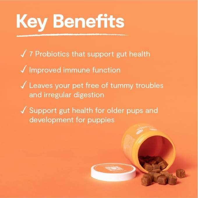 Probiotic Dog Chews C812033