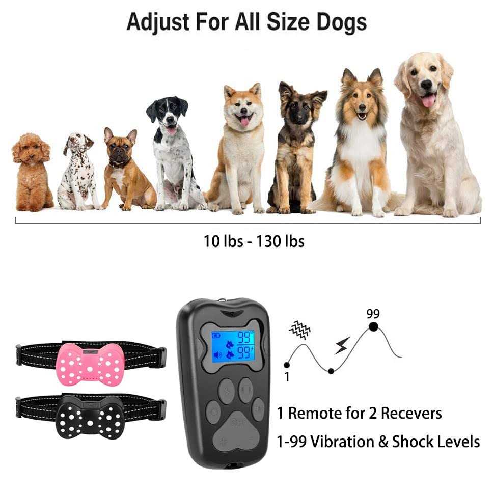 Rechargeable Electric Dog Training Collar for 2 Dogs C663