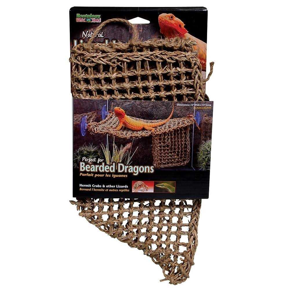Lizard Lounger Y873300