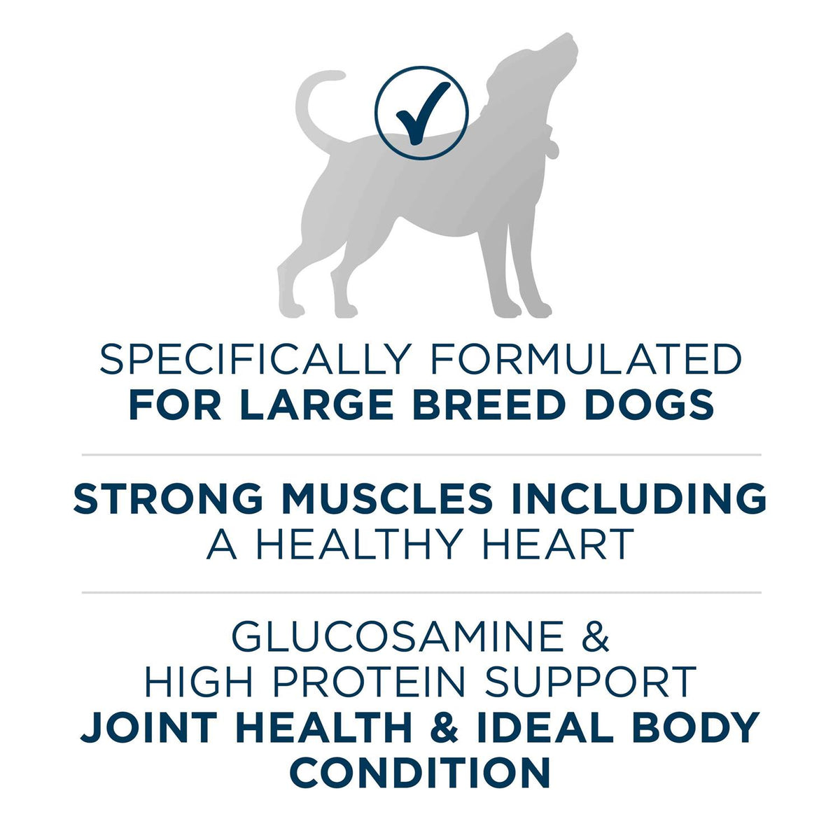 Adult Dry Dog Food A152